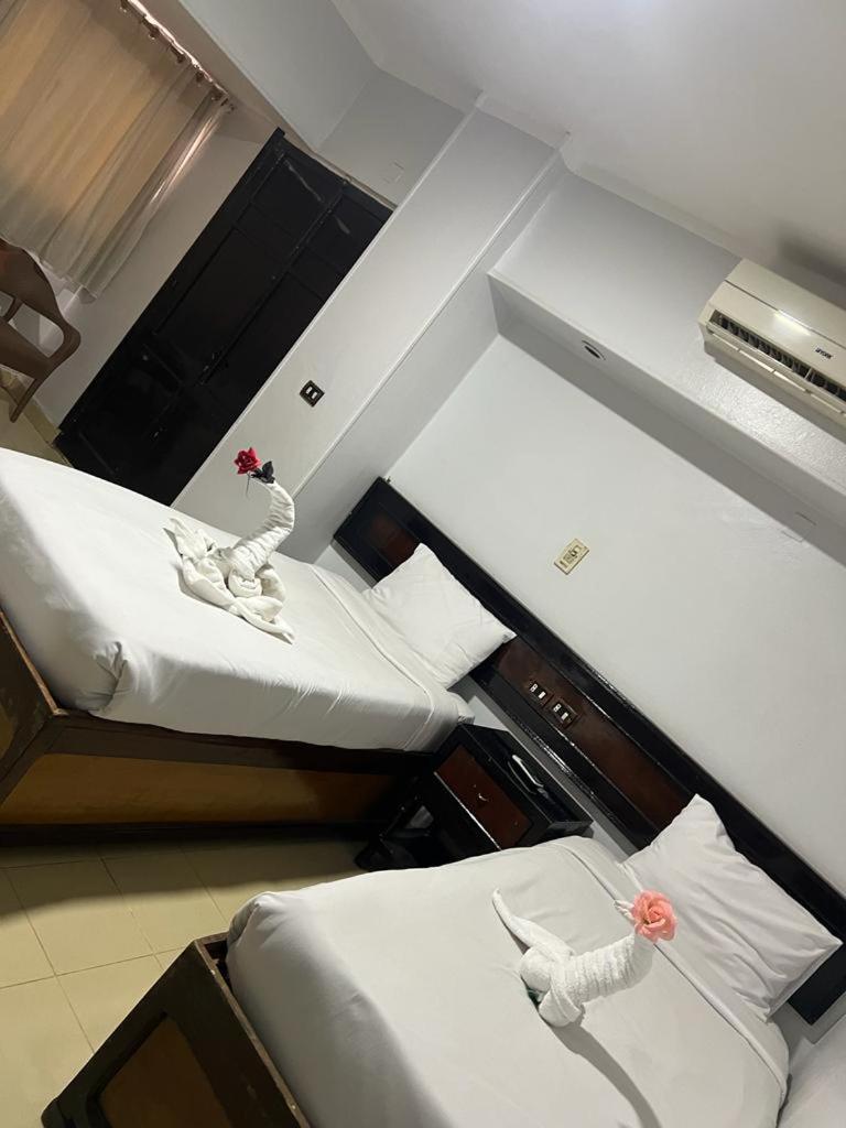 Oscar Hotel アスワン エクステリア 写真